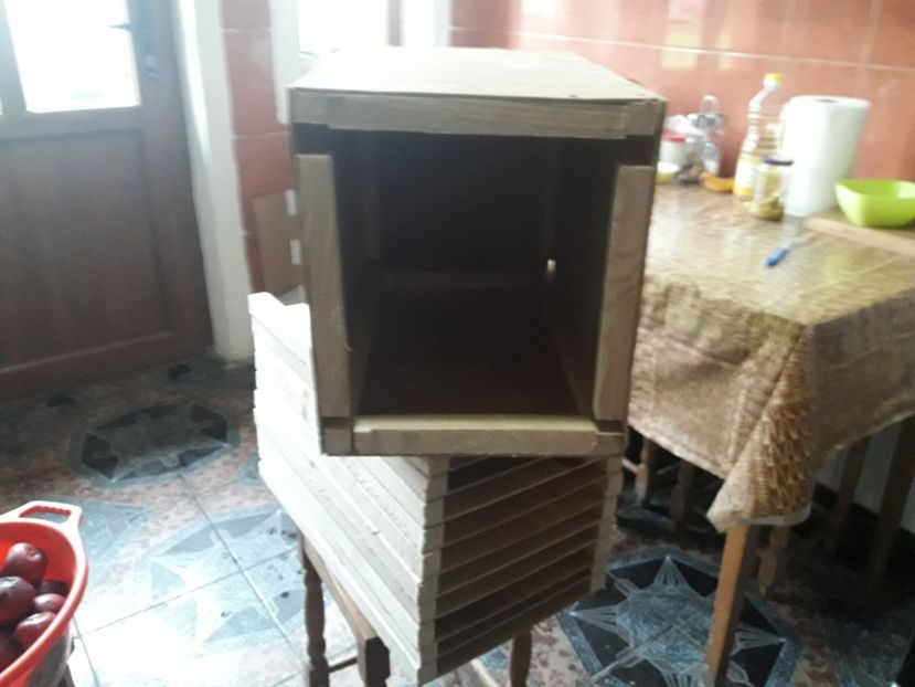  - CUIBURI DE IEPURAS