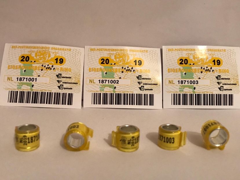 1906878C-B996-43D5-9E10-425AC6BDEE47 - 001 Inele cu talon tari straine 2019