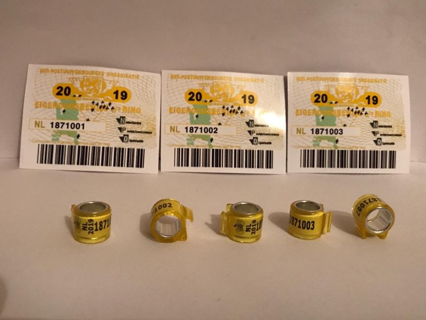 DBF21944-A6DD-445D-887B-5C3FFAABC7D4 - 001 Inele cu talon tari straine 2019