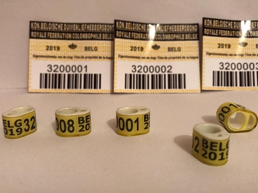 BE7BD244-9EBC-495B-BE7A-1405AB337873 - 001 Inele cu talon tari straine 2019