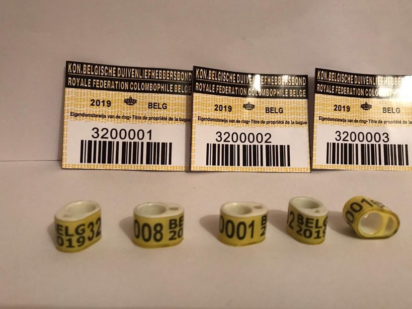 45788B17-1862-46FE-BD93-4BDB937C4A4E - 001 Inele cu talon tari straine 2019