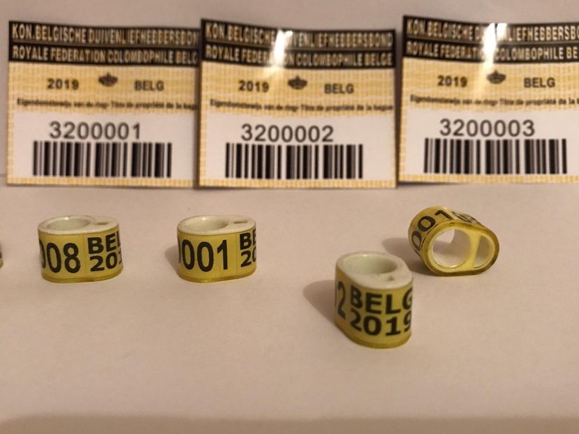 62592817-38F1-4121-A0F4-DC5B7244BCE4 - 001 Inele cu talon tari straine 2019