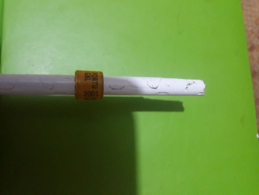 Portugal 2001 - Colectie inele Portugalia