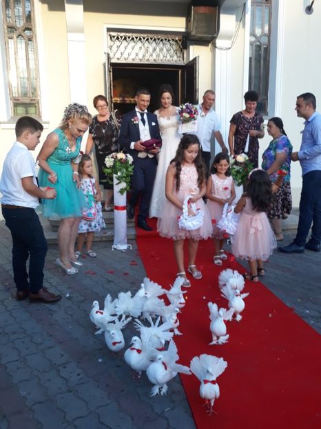 - Sectiunea 1C-Porumbei albi pentru evenimente