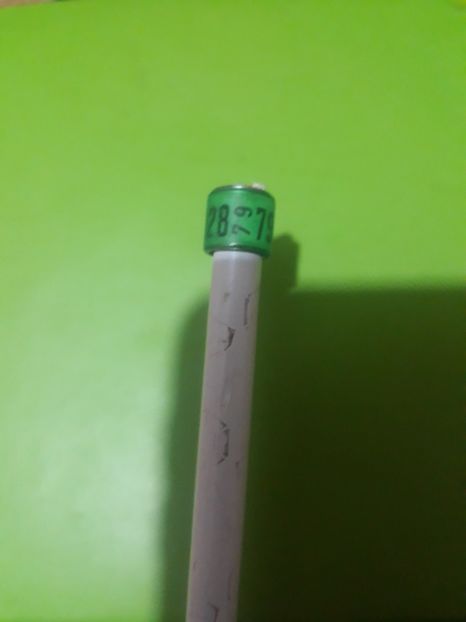 Dv 79 - Colectie inele Germania