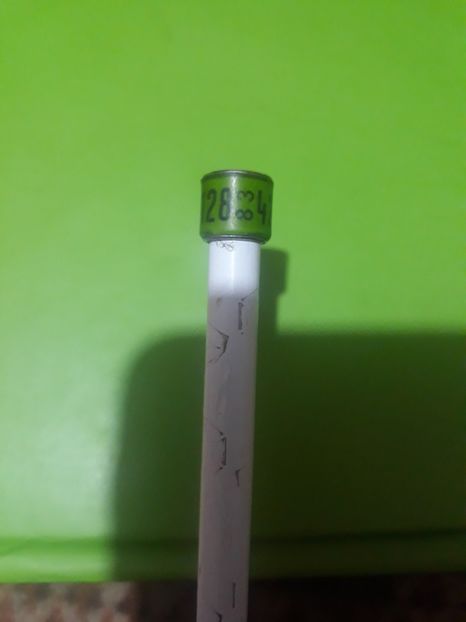 Dv 83 - Colectie inele Germania