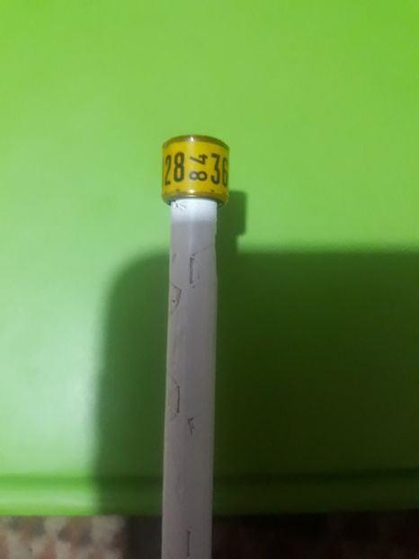 Dv 84 - Colectie inele Germania