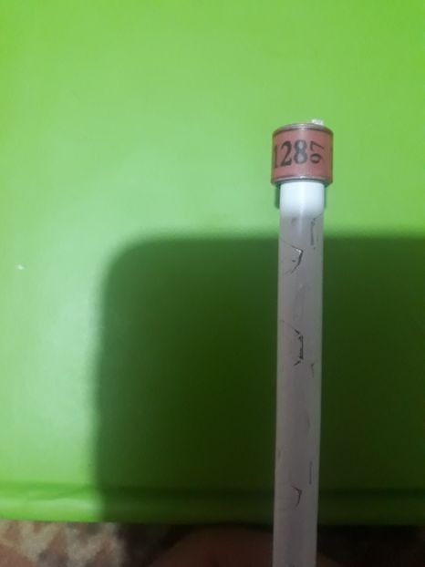 Dv 97 - Colectie inele Germania