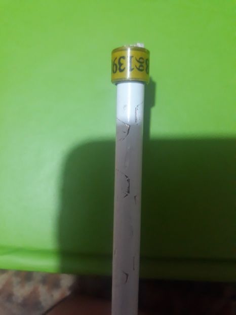 Dv 99 - Colectie inele Germania