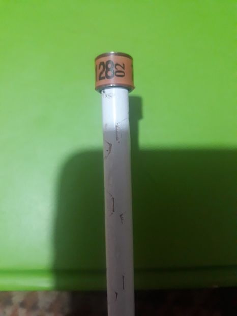 Dv 02 - Colectie inele Germania