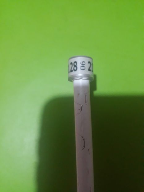 Dv 06 - Colectie inele Germania