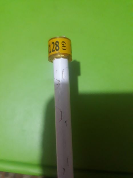 Dv 09 - Colectie inele Germania