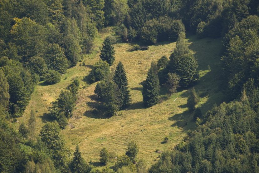  - Sfarsit de vara 2018