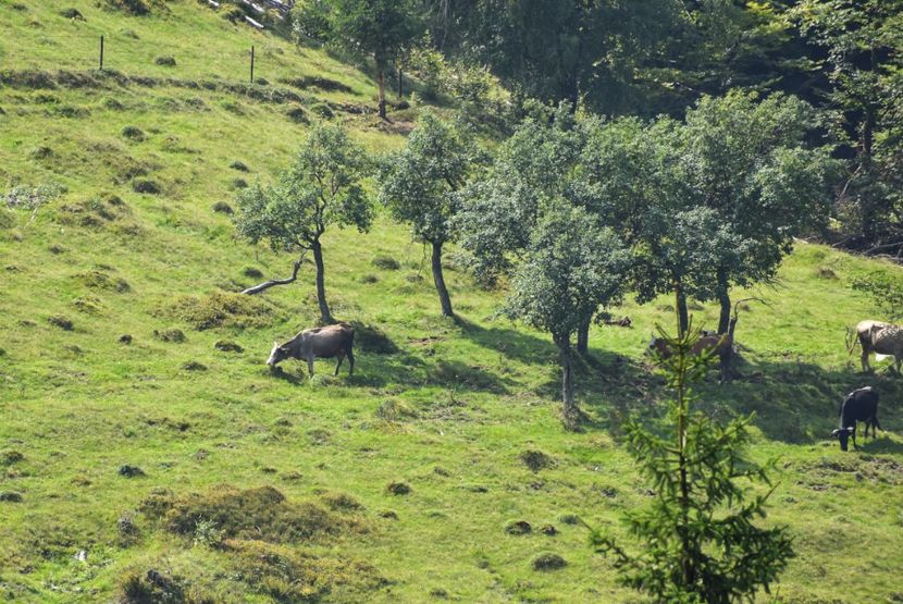  - Sfarsit de vara 2018