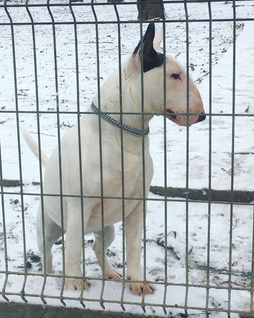 IMG-20180115-WA0001 - U m a