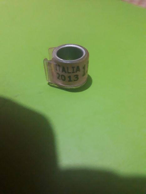 ITALIA 2013 - Colectie inele Italia