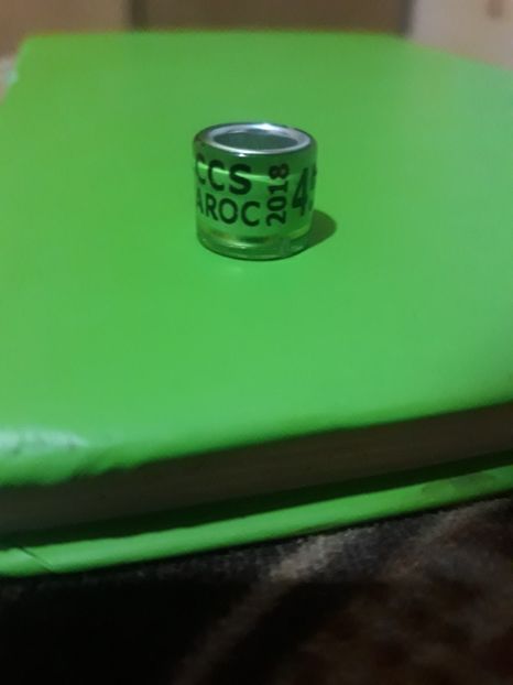 LCCS 2018 - Colectie inele Maroc