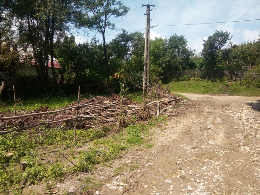  - Al 3-lea teren nepot TICA PUIU