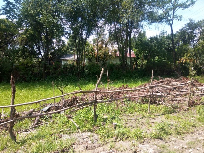  - Al 3-lea teren nepot TICA PUIU