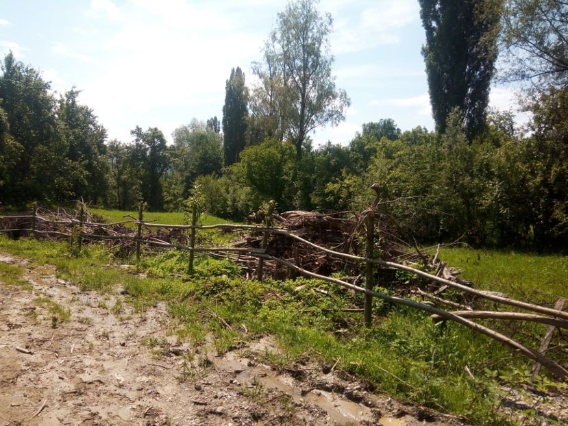  - Al 3-lea teren nepot TICA PUIU