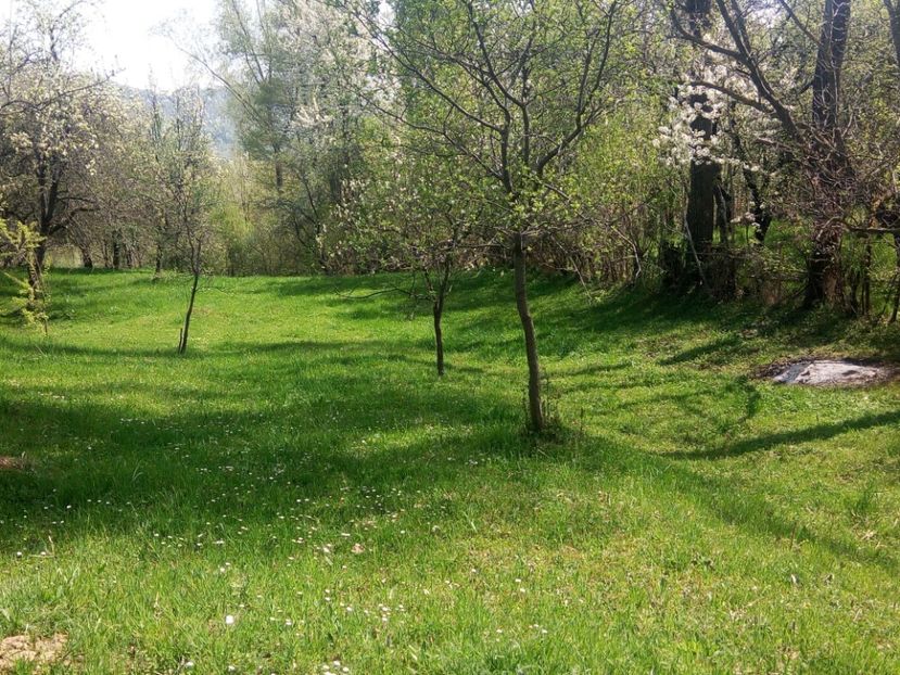  - Al 3-lea teren nepot TICA PUIU