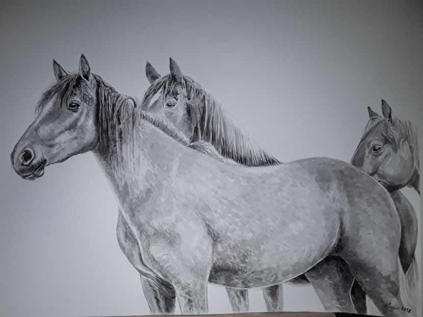  - Picturi noi de vanzare