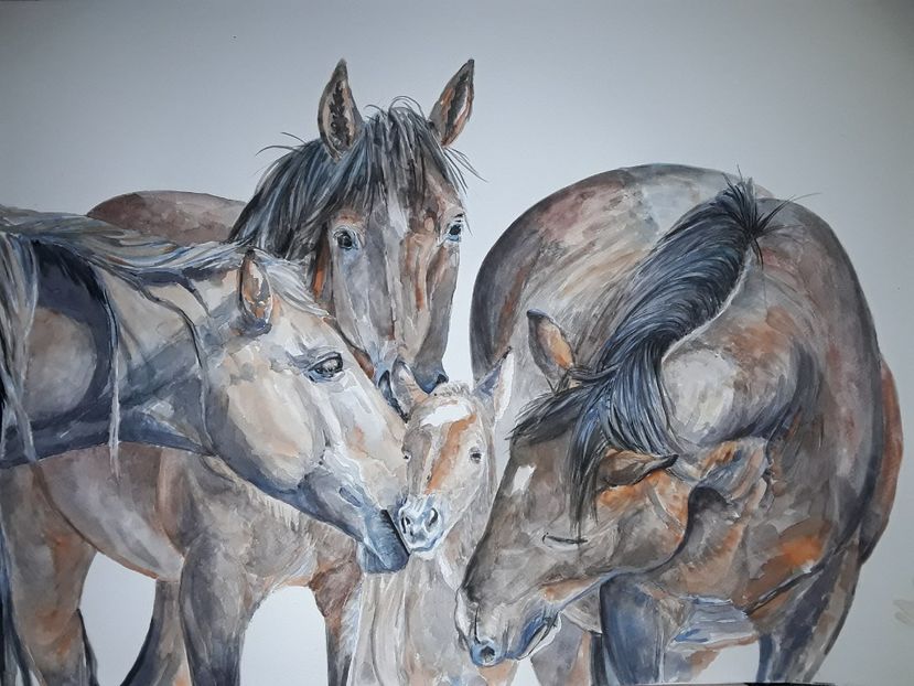  - Picturi noi de vanzare