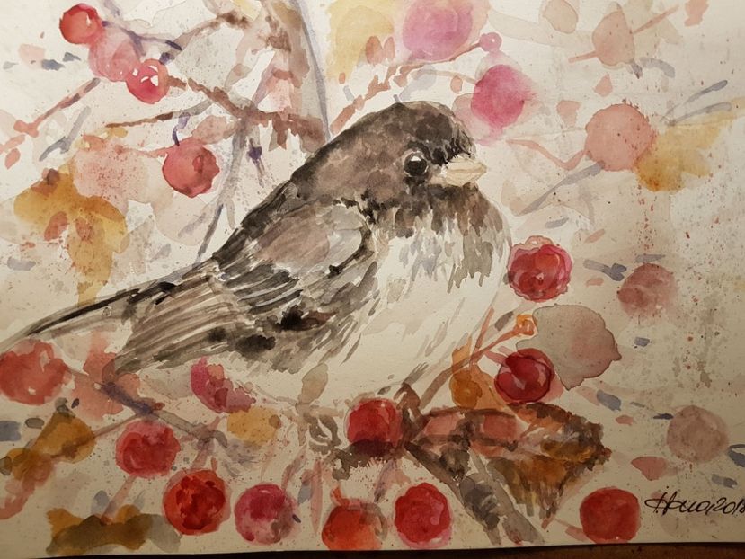  - Felicitari facute de mine