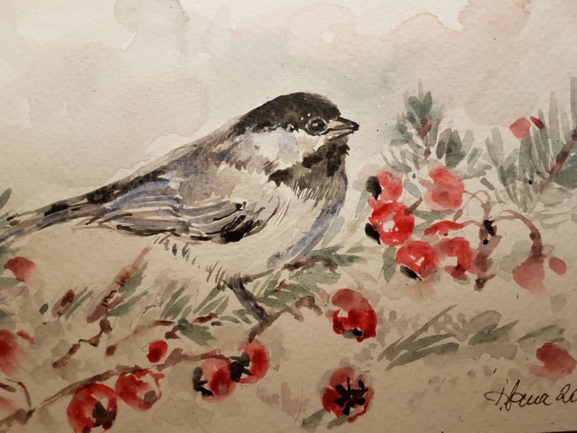  - Felicitari facute de mine