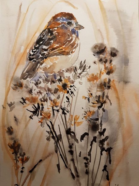  - Felicitari facute de mine