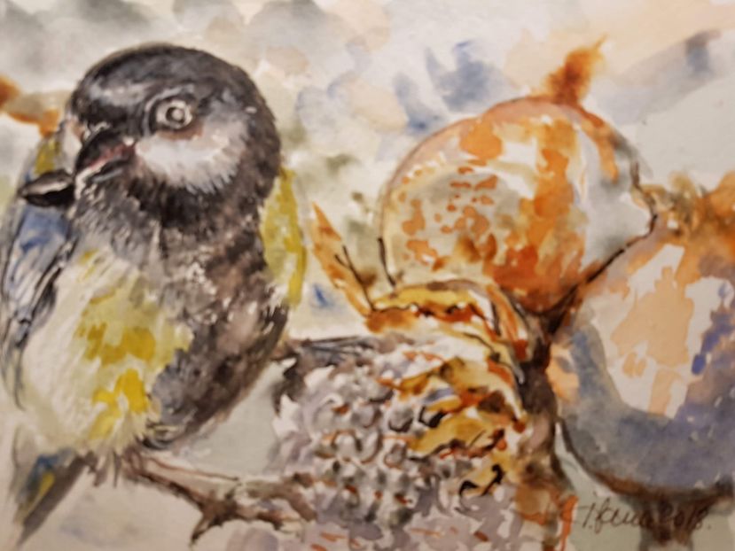  - Felicitari facute de mine