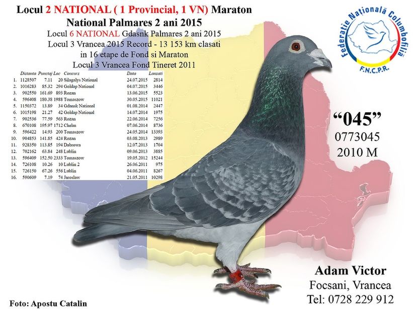  - 4 Părinți și bunici por din matca