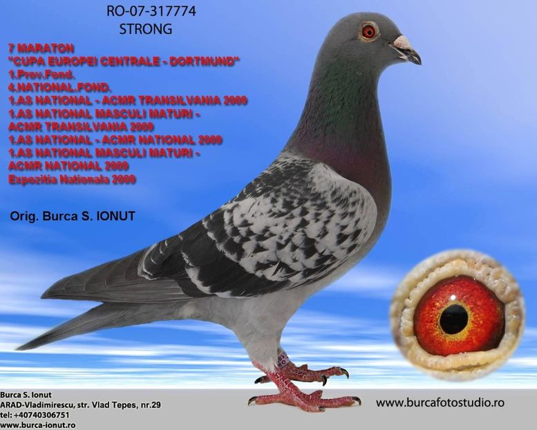  - 4 Părinți și bunici por din matca