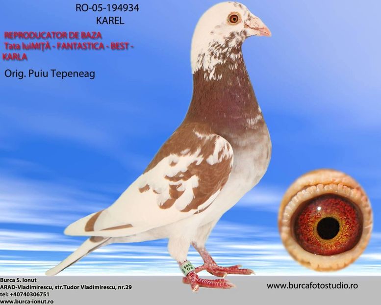  - 4 Părinți și bunici por din matca