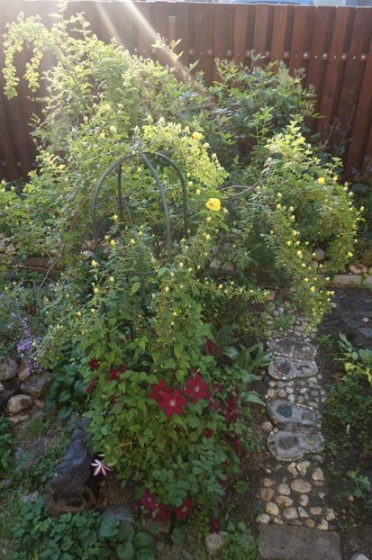  - Persian Yellow