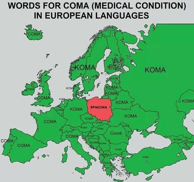 900675DC-CE5D-44A5-8090-3D9B9B801232 - u pennywise the dancing clown