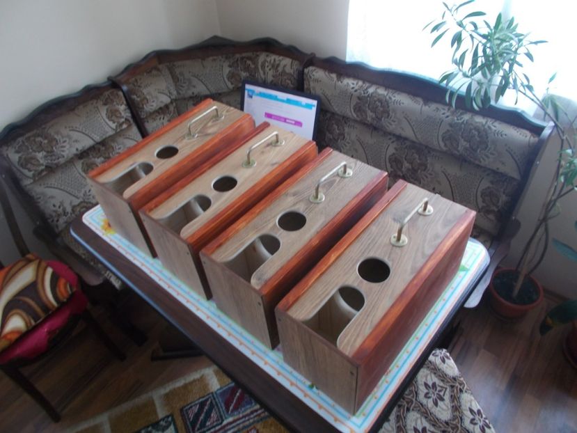 De vanzare cutii utile pt tatuaj si vaccin - DISPONIBIL MOMENTAN