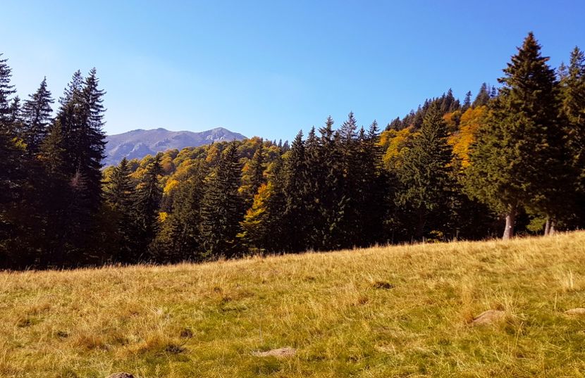  - 06 - Cheia - Muntele Roșu - nov 2018