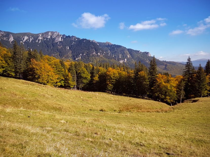  - 06 - Cheia - Muntele Roșu - nov 2018