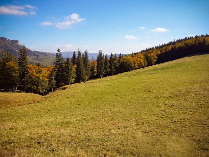 - 06 - Cheia - Muntele Roșu - nov 2018