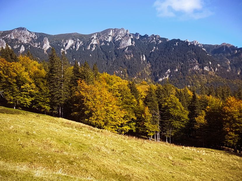  - 06 - Cheia - Muntele Roșu - nov 2018