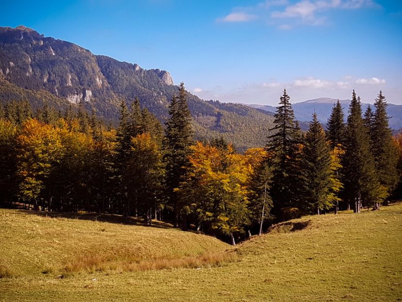  - 06 - Cheia - Muntele Roșu - nov 2018