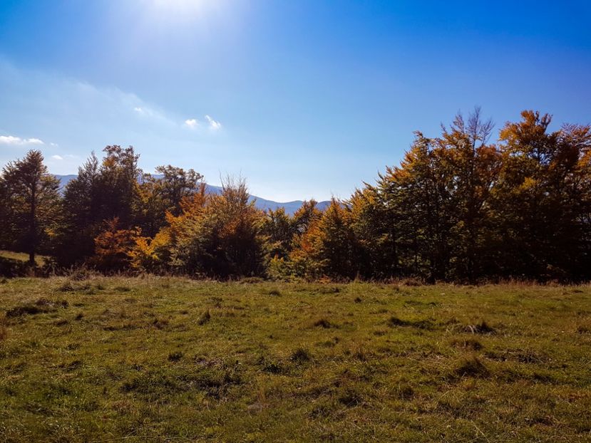  - 06 - Cheia - Muntele Roșu - nov 2018