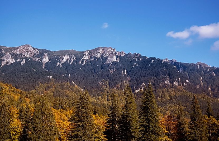  - 06 - Cheia - Muntele Roșu - nov 2018