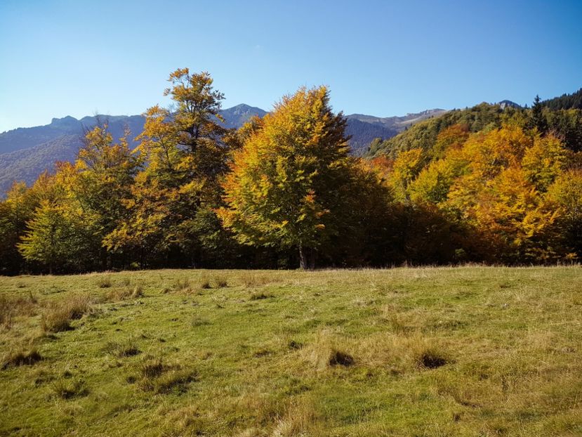  - 06 - Cheia - Muntele Roșu - nov 2018