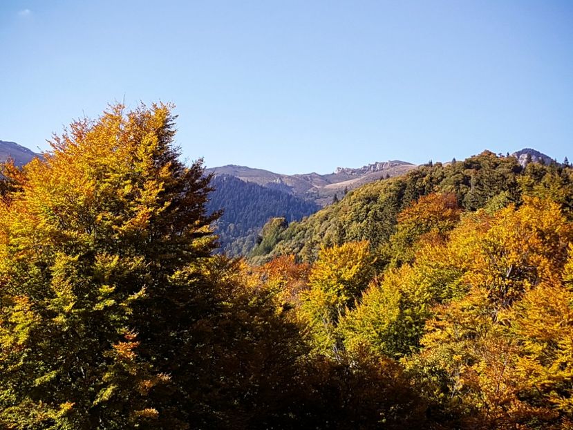  - 06 - Cheia - Muntele Roșu - nov 2018