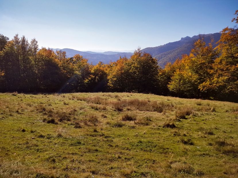  - 06 - Cheia - Muntele Roșu - nov 2018
