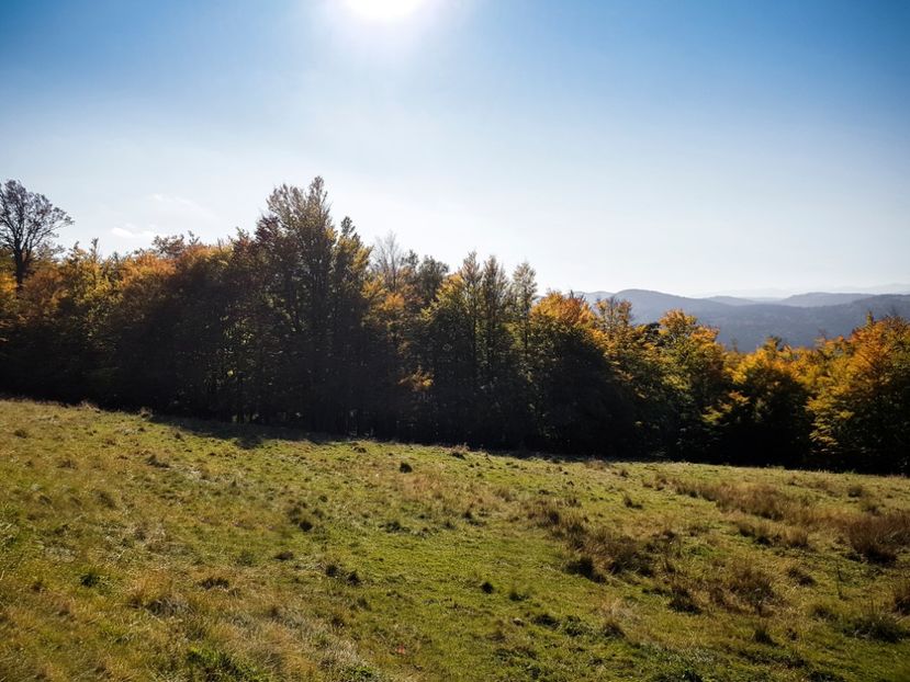  - 06 - Cheia - Muntele Roșu - nov 2018