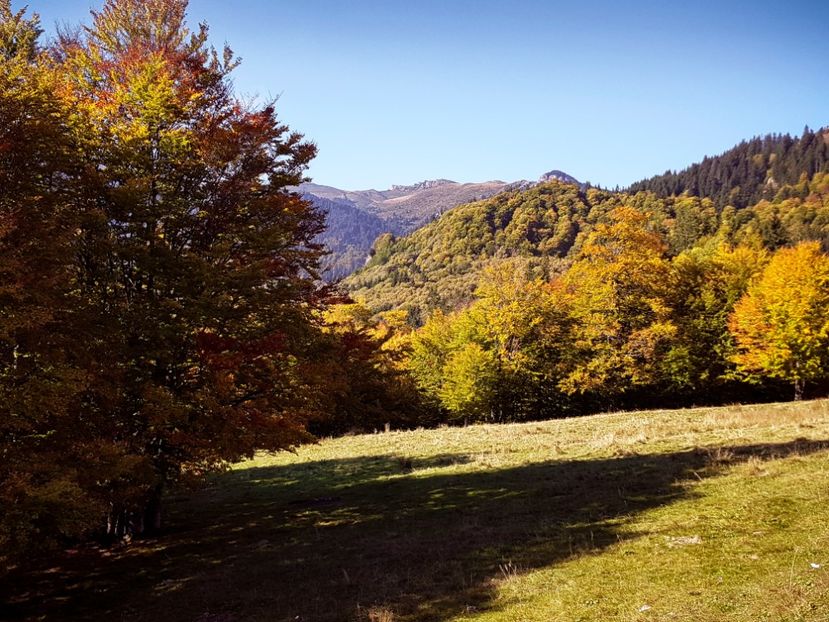  - 06 - Cheia - Muntele Roșu - nov 2018