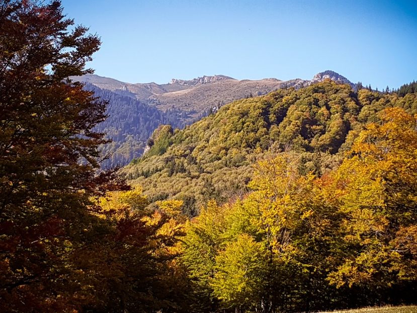  - 06 - Cheia - Muntele Roșu - nov 2018
